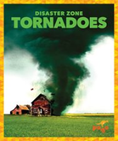 Tornadoes by Meister, Cari